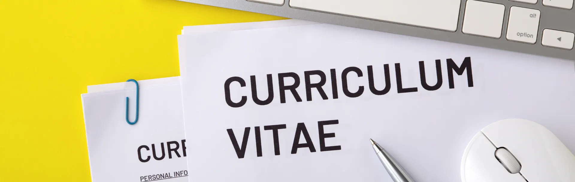 TIPS AGAR CV LOLOS SCREENING